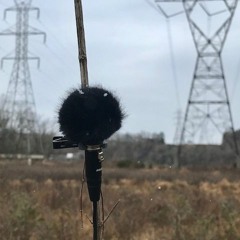 Power Lines Across the C&O Canal