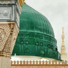 وأبيضَ يُستَسقَى الغَمَامُ بوجههِ