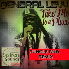 General Levy - Take me to a place DnB Jungle remix