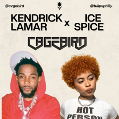 CvgeMix DNA x Ice Spice
