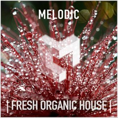MELODIC FRESH HOUSE