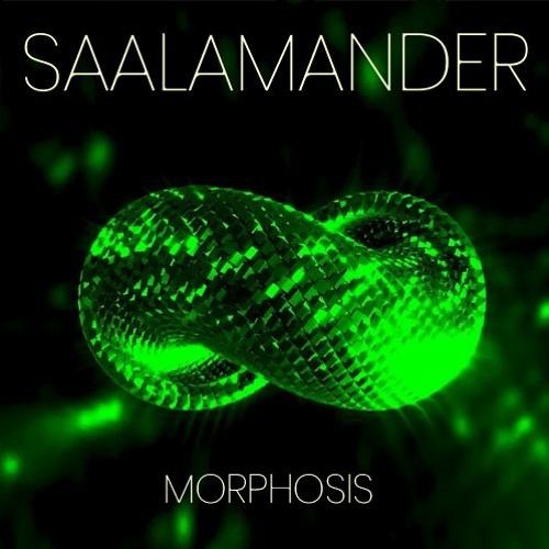 Saalamander - Morphosis 08.12.2023