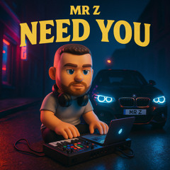 MR Z - Need You