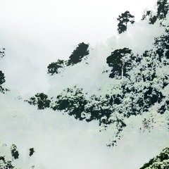 IN THE JUNGLE [INDUSTRIAL]