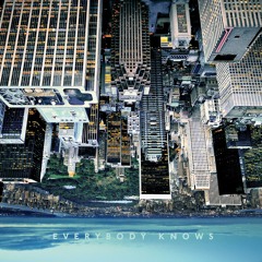 Sirius Business