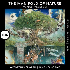 The Manifold of Nature W/Aboutface SE1EP3 02-04-25