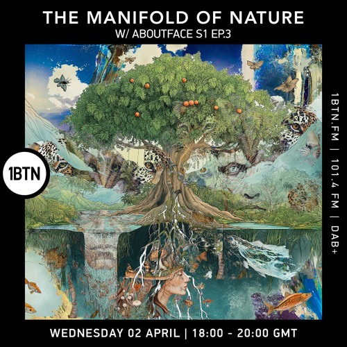 The Manifold of Nature W/Aboutface SE1EP3 02-04-25
