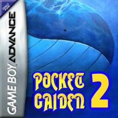 Pocket Gaiden 2 Final Boss Battle