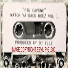 PIG CAPONE - FEEL THE REAL BASS (PROD. D.J. ELLI) [DELETED TRACK]