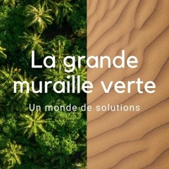 Un Monde De Solutions : Zoom Sur La Grande Muraille Verte En Afrique