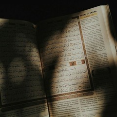 الشيخ السيد سعيد حصرياً لأول المزمل