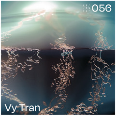 kfpnyx 056 - vy tran