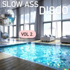 Slow Ass Disco Vol 2.