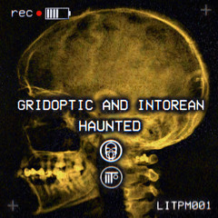 Gridoptic & Intorean - Haunted