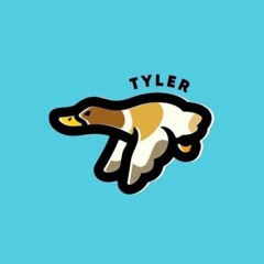 New Tyler the Creator WANGSAP Snippet