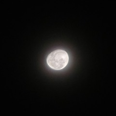 moon (prod. JascoBeats)