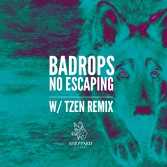Badrops - No Escaping (Original Mix)