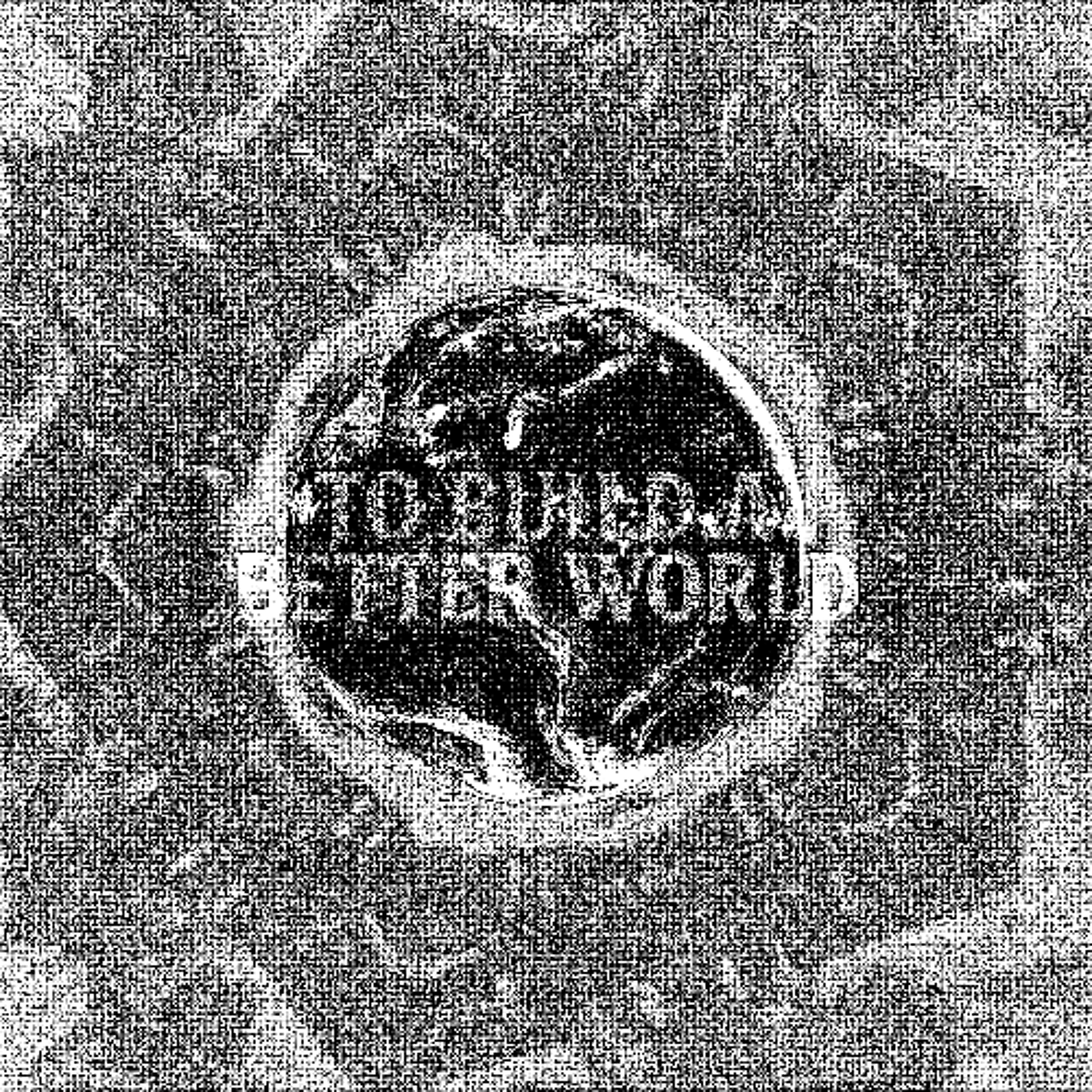 To Build a Better World episode artwork