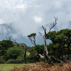 Sure Thing Mix 143: Dual Monitor