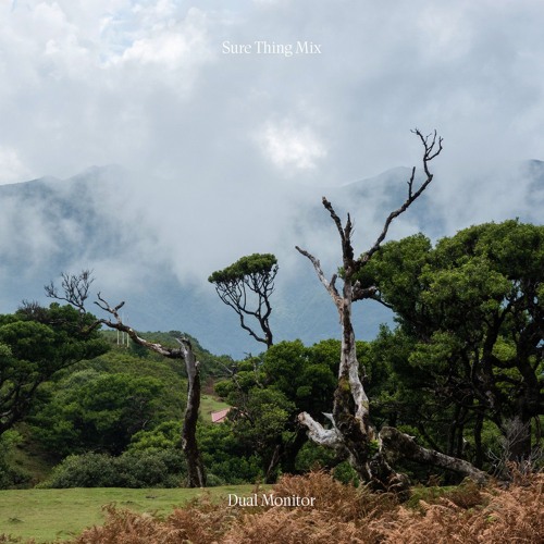 Sure Thing Mix 143: Dual Monitor