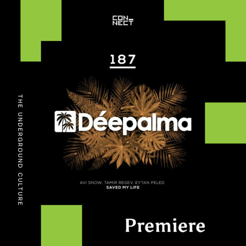 PREMIERE: Avi Snow, Tamir Regev & Eytan Peled - Saved My Life [Deepalma]