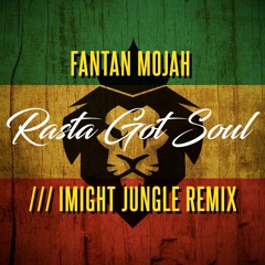 Fantan Mojah - Rasta Got Soul (IMIGHT Jungle Remix)
