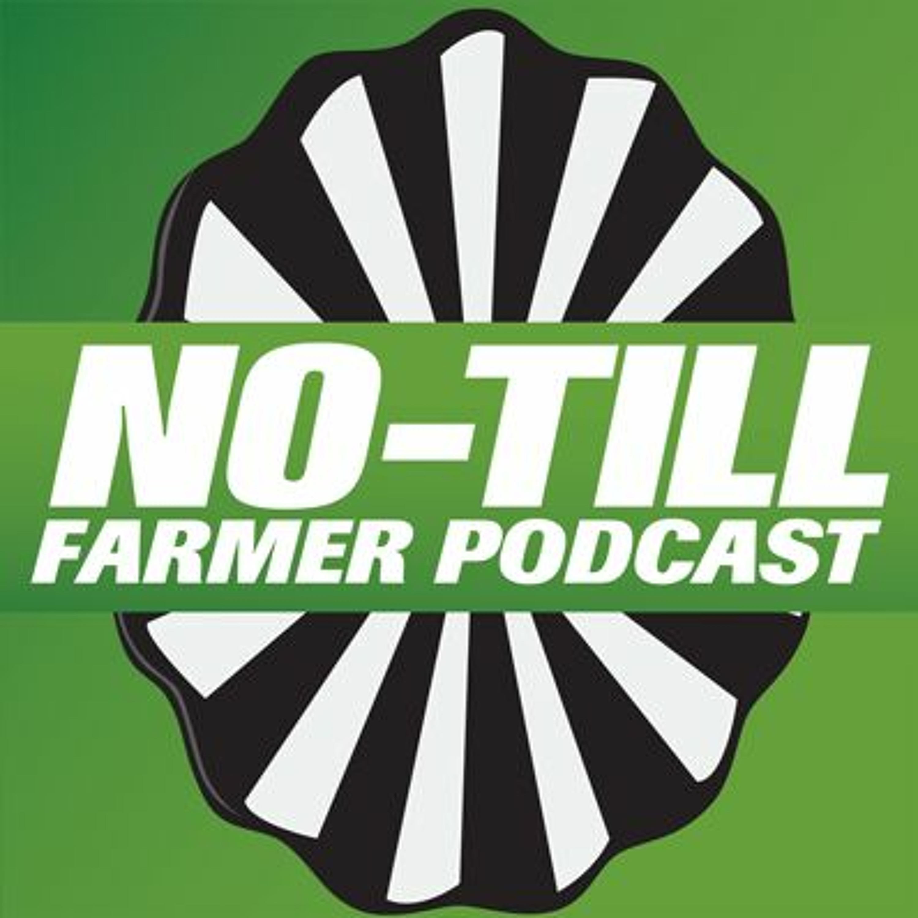 Diversify Your Rotation To Drive Soil Health With No-Till Innovator Dan Forgey