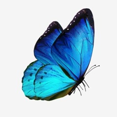 Was ist falsch am träumen? (prod. Blaztoiz, citrus)