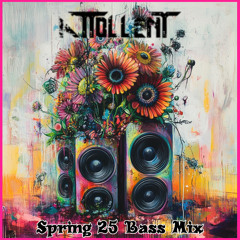 Spring 25 Bass Mix (Lsdream Style + Mashups)(Edit Pack Available)