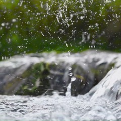 Rainfall On River | Rain & Water Sounds For Sleeping Or Relaxation (75 Minutes)