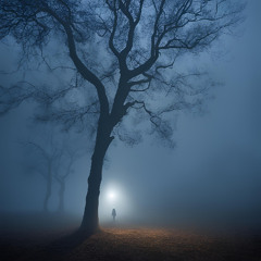 Veil of Shadows