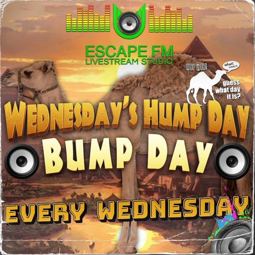 Hump Day Bump Day Collection Mix #3 -DJ NvS & DJ HMC