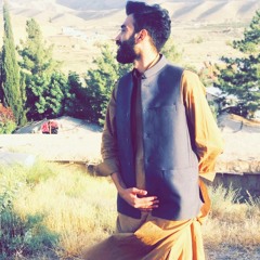 On My way X zara zara English Hindi Medley