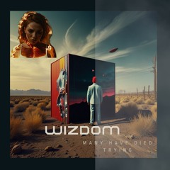 Wizdom-  Many Have Died Trying MIX