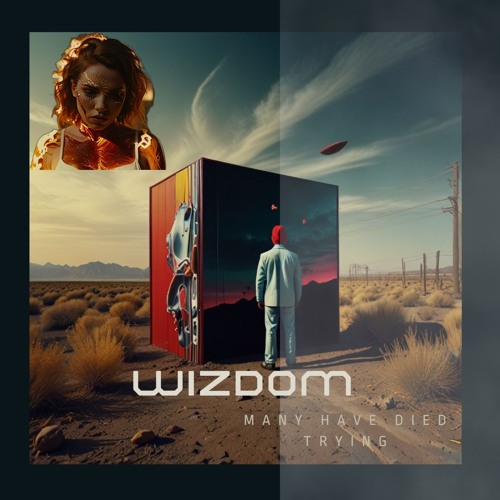 Wizdom-  Many Have Died Trying MIX