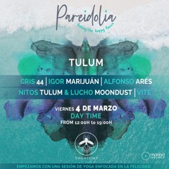 PAREIDOLIA   at Vagalume Tulum - Nitos Tulum Live W - Lucho Moondust