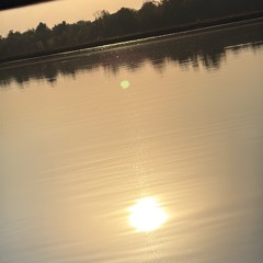 for the fun prod. Apire