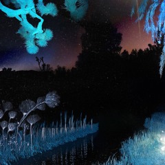 304# PREMIERE: Aureal - Balam Nebula, The Dawn Among Trees And Star [Auoum]