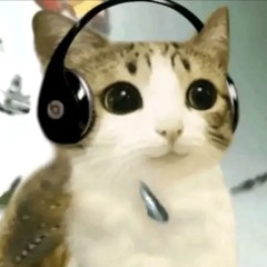 The summer hikaru died