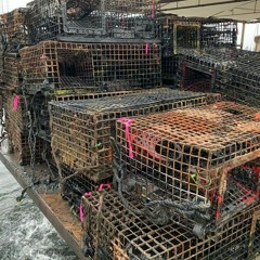 The Long Island Sound Lobster Trap Project