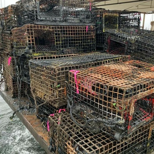 Stream The Long Island Sound Lobster Trap Project by WPKN Community Radio