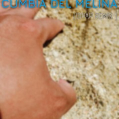 Nicola Cruz - Cumbia Del Melina (DiPap Remix)
