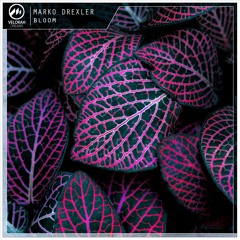 Marko Drexler - Bloom (Radio Edit) | FREE DL
