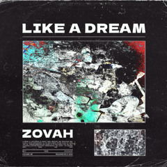 LIKE A DREAM (VIP)