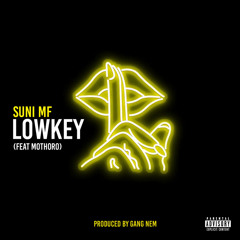 lowkey (feat. MoThoro)