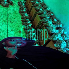 YUNGPELO - CHAMPS .mp3