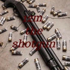 theshotgun12
