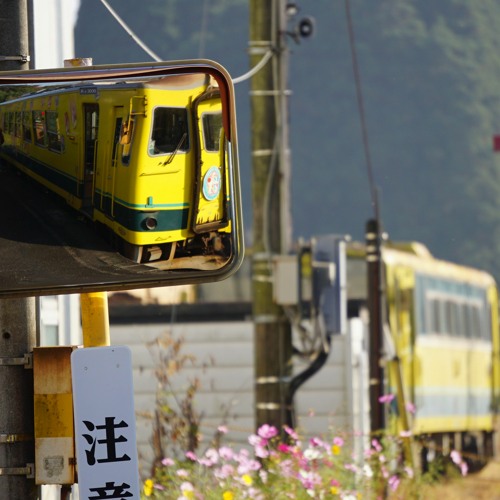 新田野