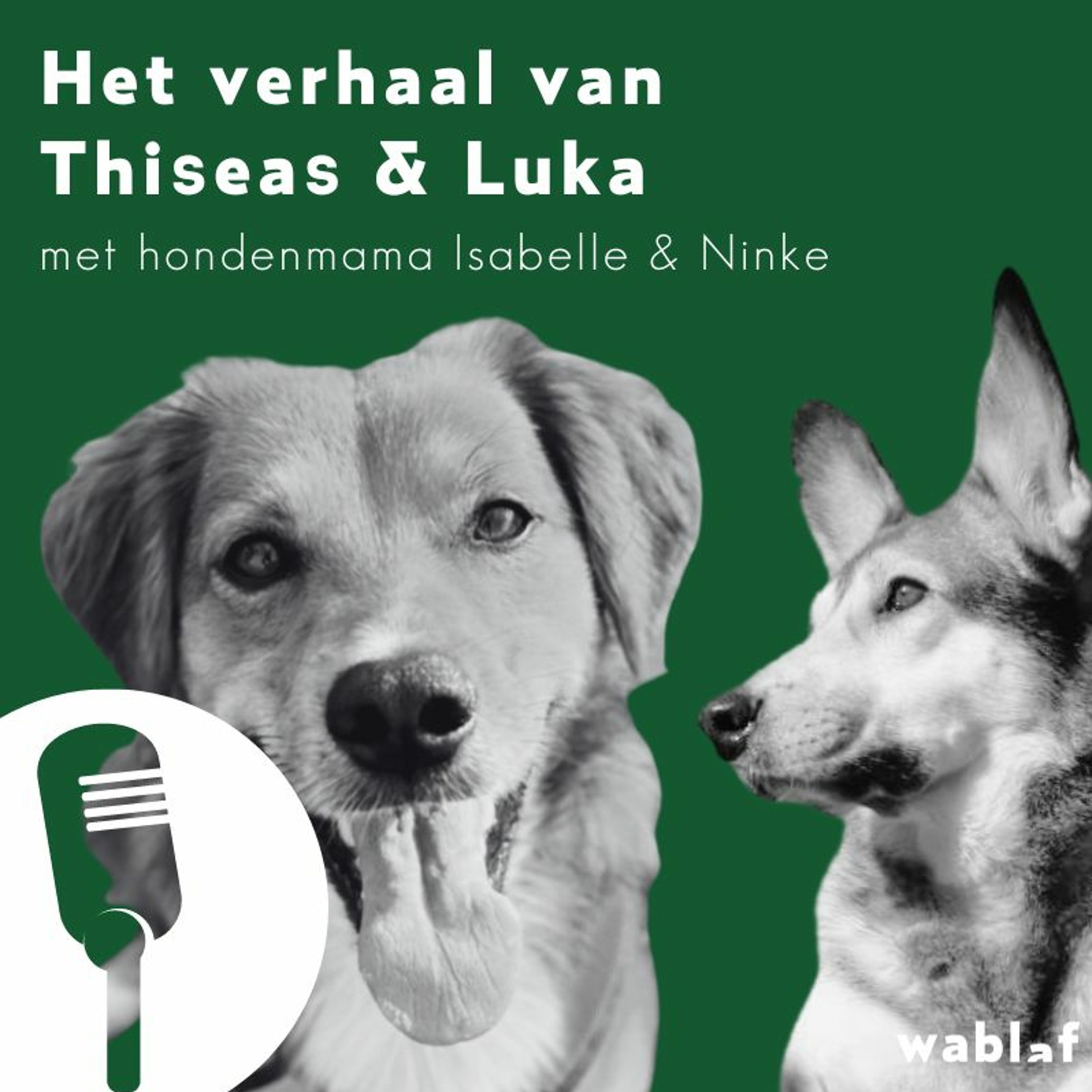 Bewuste Hondenmoeders