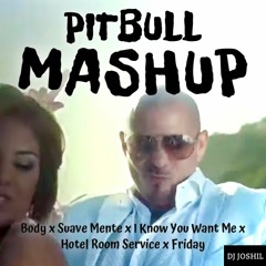 PITBULL FRIDAY NIGHT MASHUP (Body x Suave Mente x I Know You Want Me x Hotel Room Service x Friday)